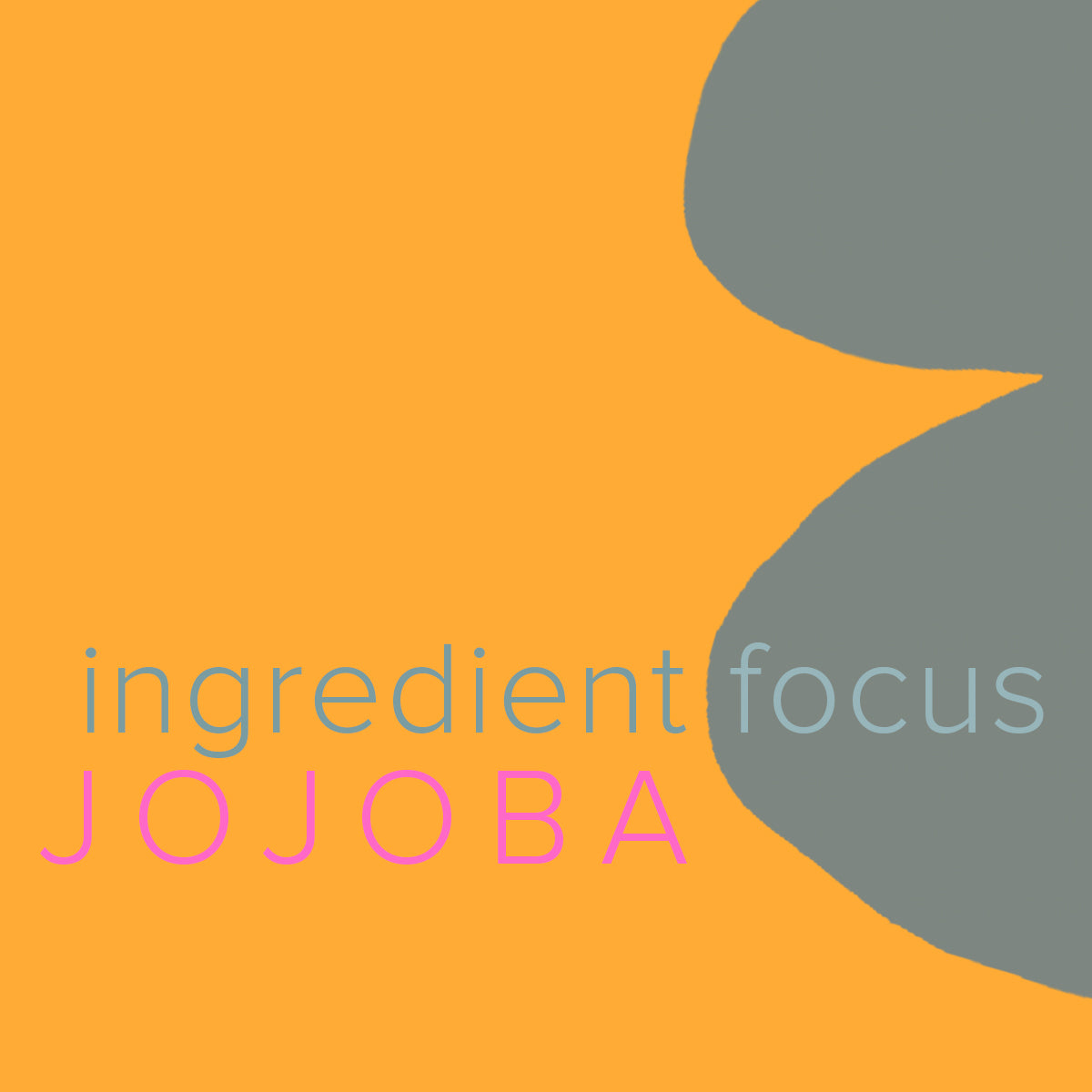 Among its many benefits, jojoba oil contains a natural sunscreen that blocks harmful UV rays. And because it so closely mimics the natural oil produced by our skin, jojoba oil can be used as a natural skin conditioner on the scalp as well as the hair.
